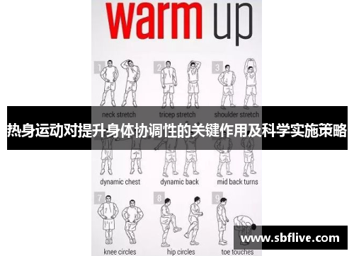 热身运动对提升身体协调性的关键作用及科学实施策略