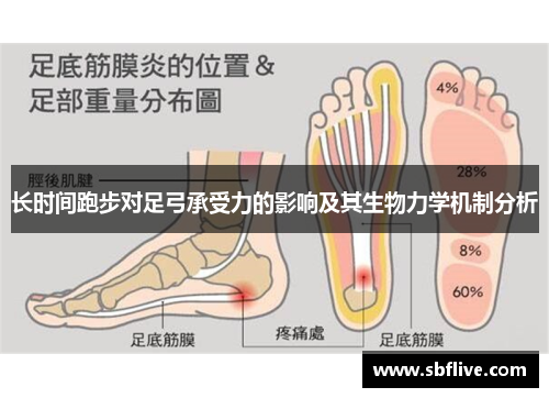 长时间跑步对足弓承受力的影响及其生物力学机制分析
