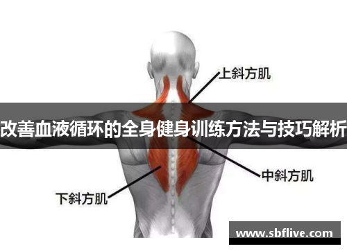 改善血液循环的全身健身训练方法与技巧解析