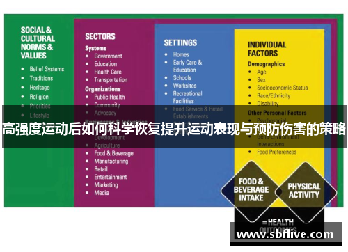 高强度运动后如何科学恢复提升运动表现与预防伤害的策略