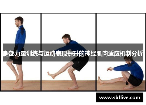 腿部力量训练与运动表现提升的神经肌肉适应机制分析